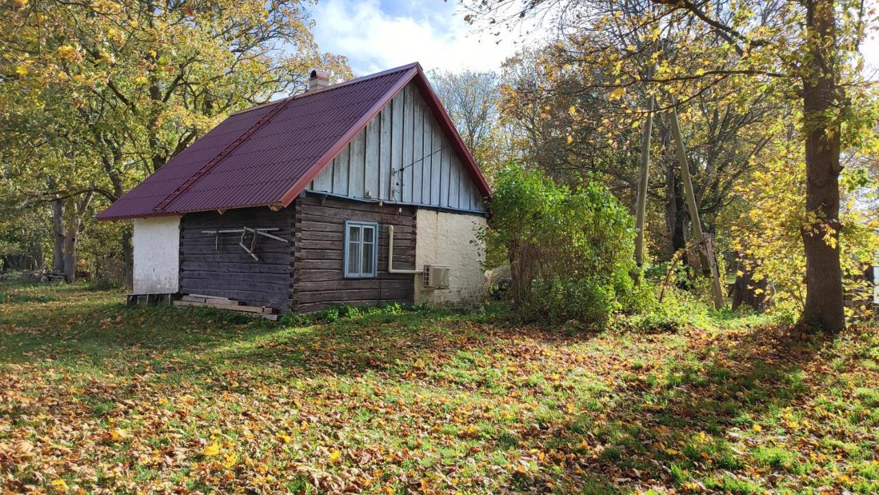 Viini Puhkemaja Mustjala Exterior foto
